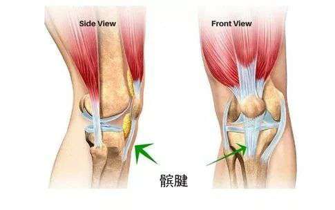 膝盖不同部位疼，可能是什么病？