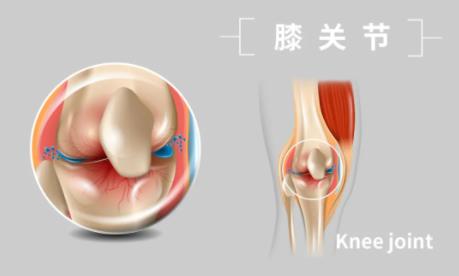 膝关节受伤后来回屈曲可以缓解伤势？