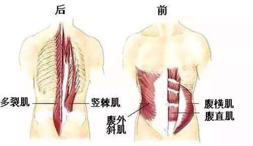这五个动作，专治腰肌劳损
