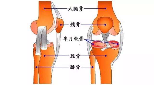 上下楼膝盖疼，很可能是这个病，吃钙片真的不管用