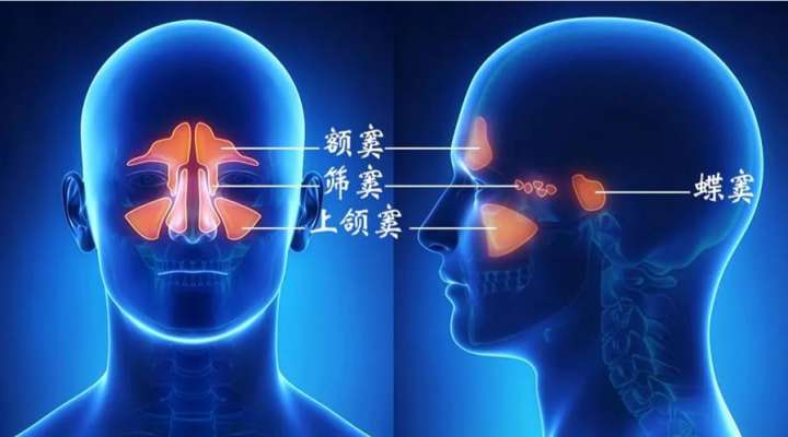 老中医妙招治鼻窦炎,用过的人都说好