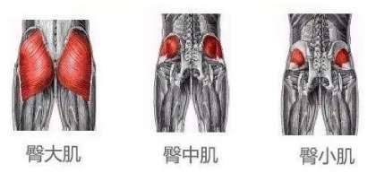 你或许没想到，膝痛的原因可能在臀部