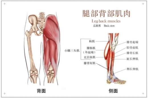 运动出美腿――教你几个跑步告别“萝卜腿”的小妙招！