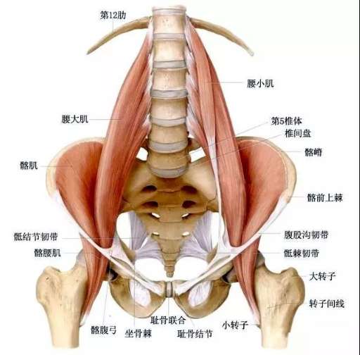 居家久卧腰疼，你可以这样做！