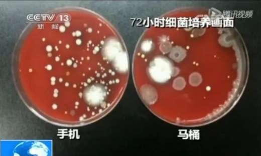 手机也为新冠状病毒肺炎载体，应如何消毒？