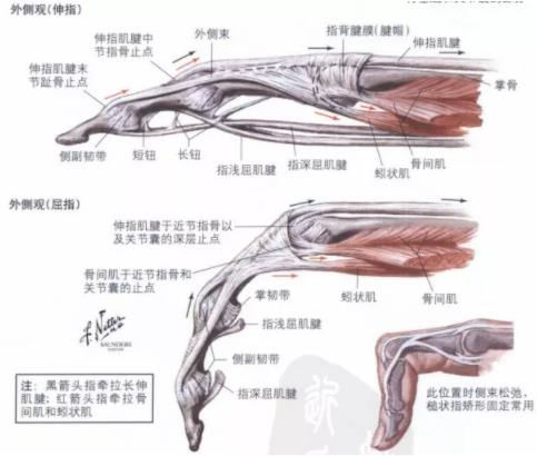 不小心戳伤手指用到医院检查吗？