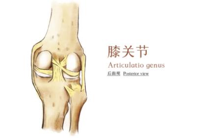 “人老先老腿”背后隐藏的病因