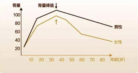 年纪越大，骨量流失越重，如何留住骨量让骨头变硬？