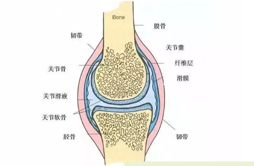 跑步伤膝？给您2个小窍门