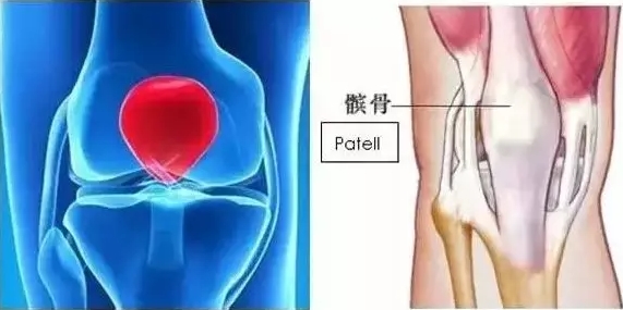 有这几个表现，说明你的膝盖“变软”了！