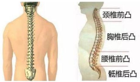 几个小物件，给全身骨骼减负