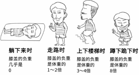 推迟膝关节退化，必须知道这些事！