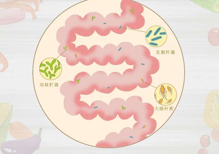 国家级名老中医王莒生教授畅谈藏在肠道菌群里的健康密码