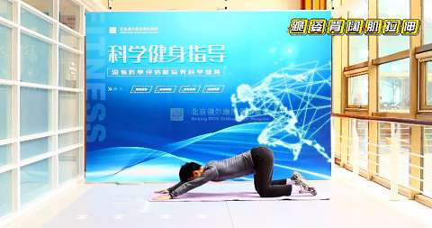 跪姿背阔肌拉伸